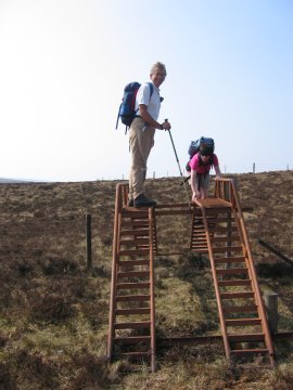 Bridge over the wall